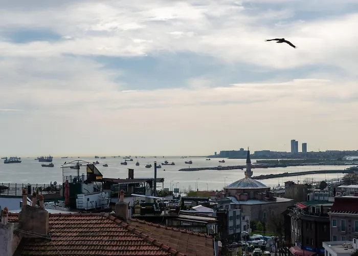 Cetinluxuryhome アパート